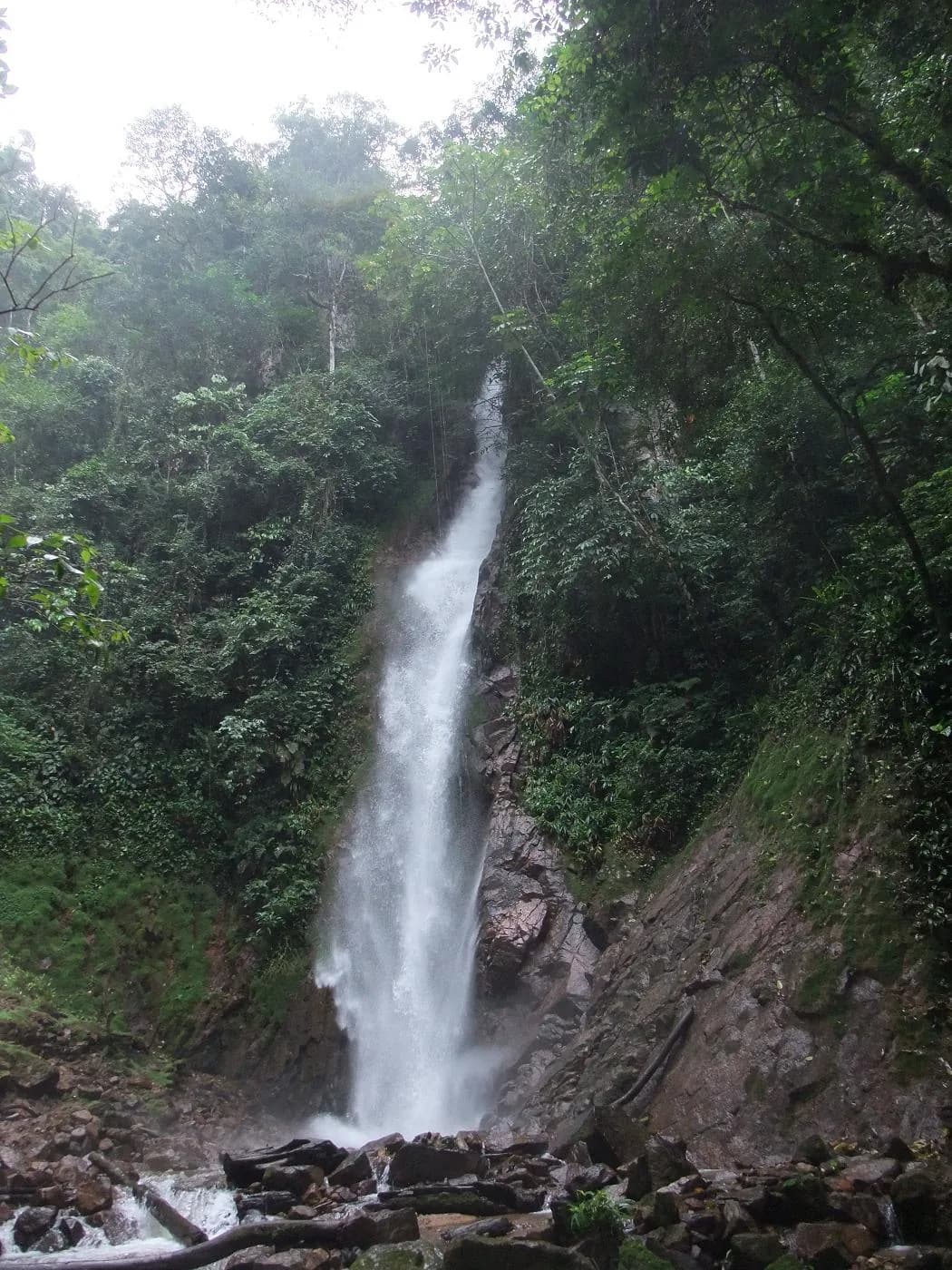 Catarata El Tirol cayendo entre la vegetación